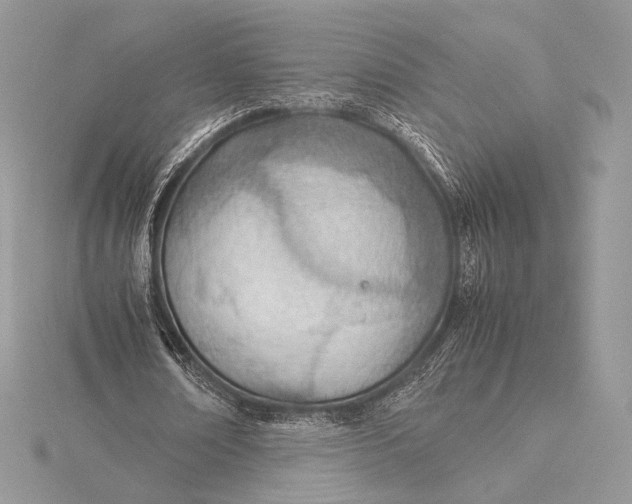 X0000115780674200912041452