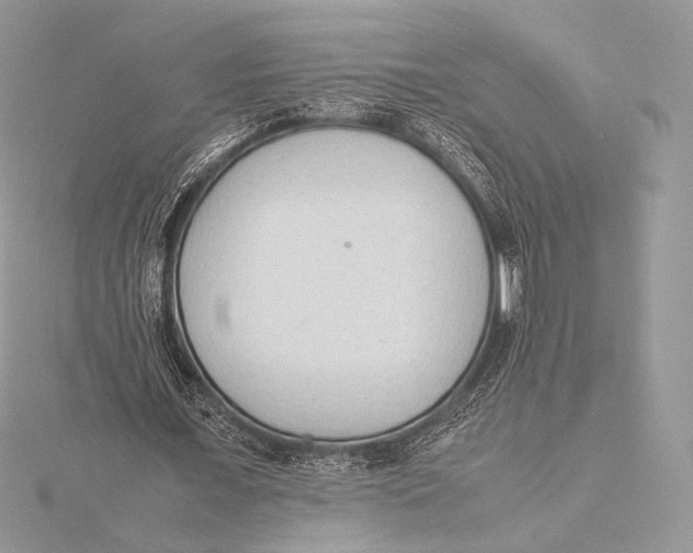 X0000115780675200912041452