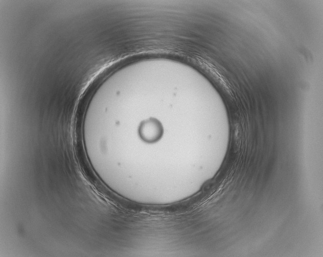 X0000115780676200912041452