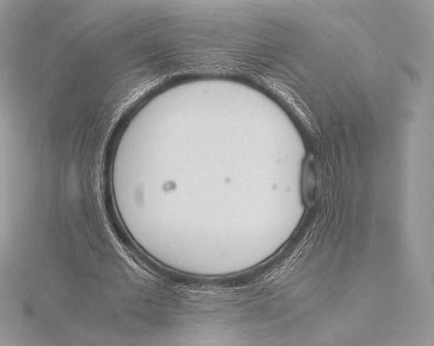 X0000115780677200912041452