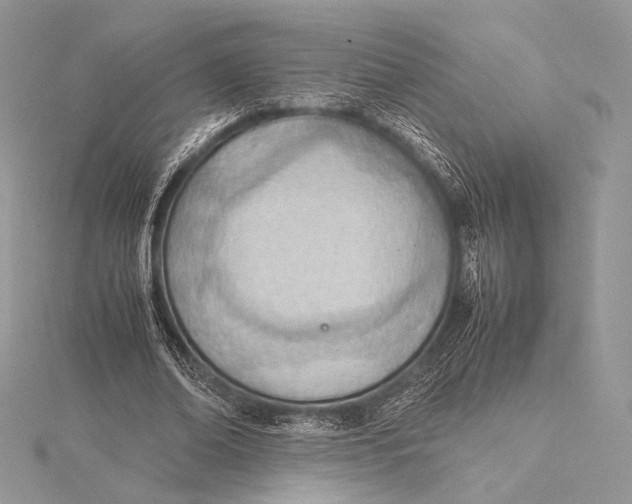 X0000115780678200912041452