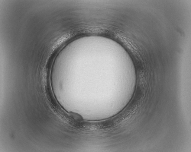 X0000115780679200912041452