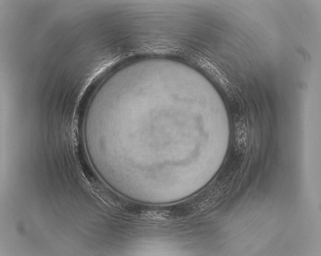 X0000115780680200912041452