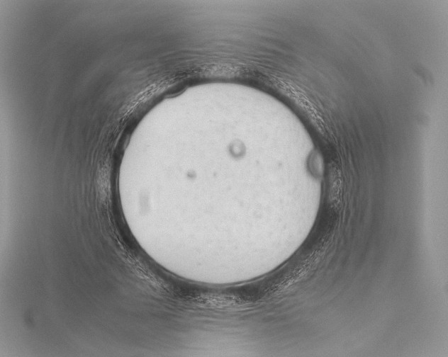 X0000115780681200912041452