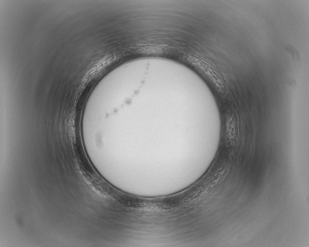 X0000115780682200912041452