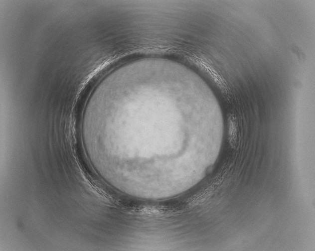 X0000115780684200912041452