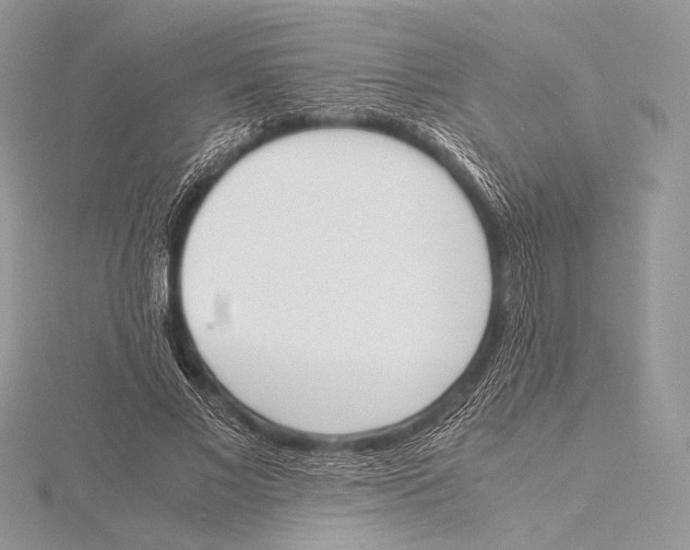 X0000115780685200912041452