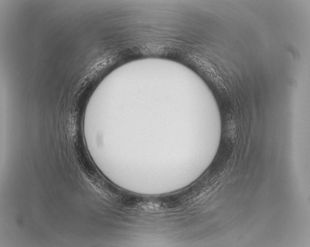 X0000115780687200912041452