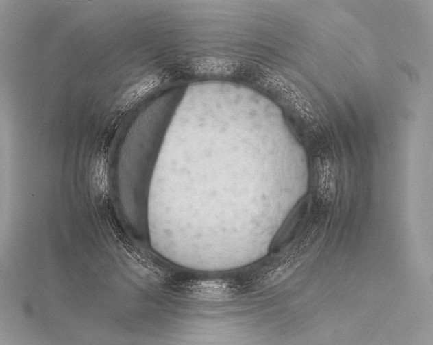 X0000115780692200912041452