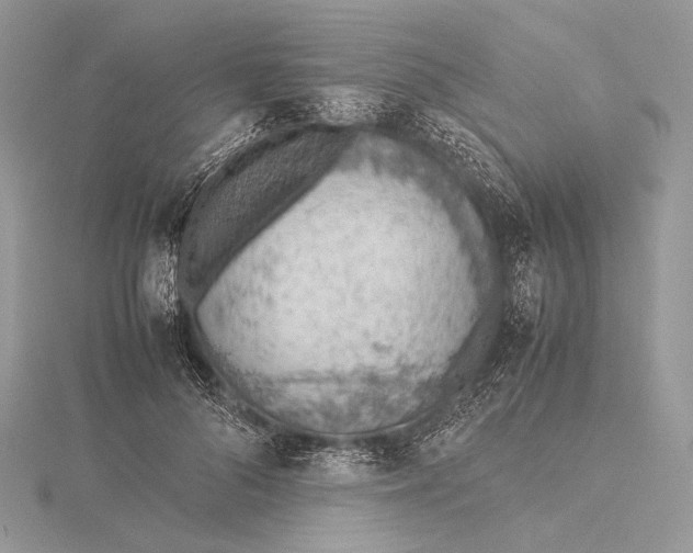 X0000115780696200912041452