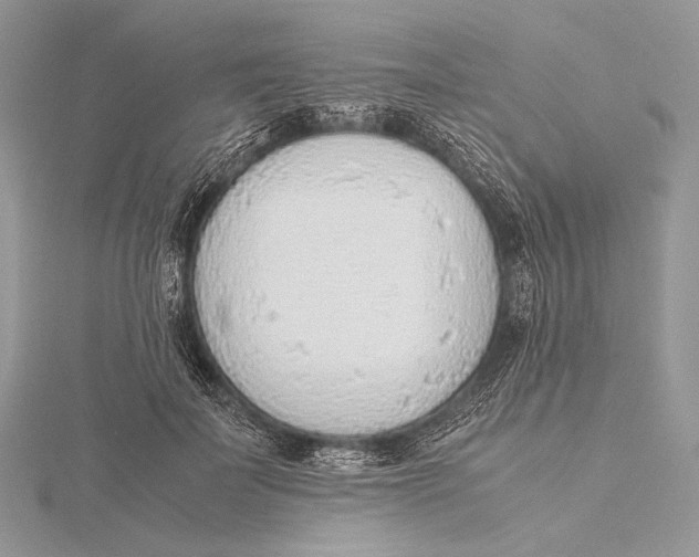 X0000115780699200912041451