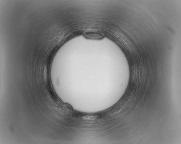 X0000115780700200912041451