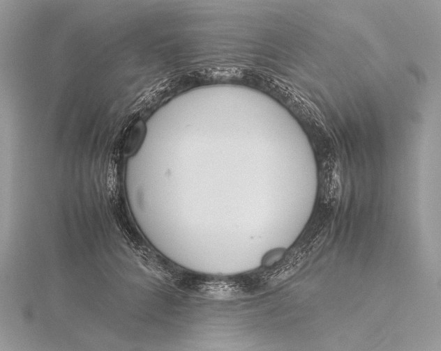 X0000115780704200912041451