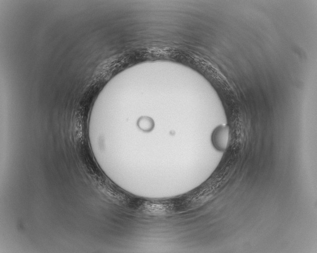 X0000115780706200912041451