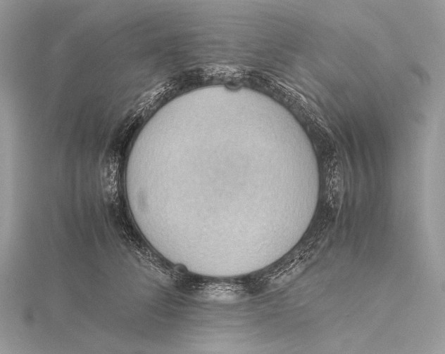 X0000115780708200912041451