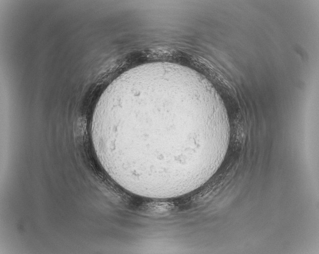 X0000115780711200912041451