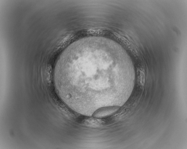 X0000115780712200912041451