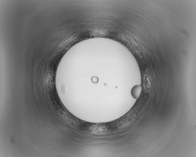 X0000115780714200912041451