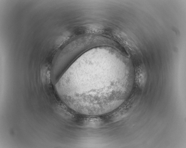 X0000115780716200912041451