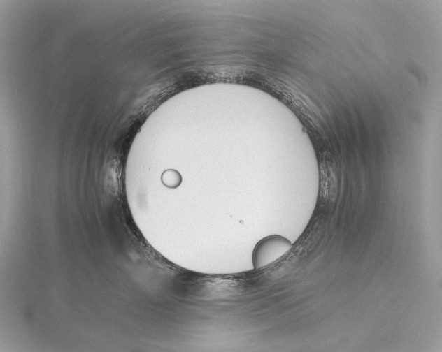 X0000115780718200912041451