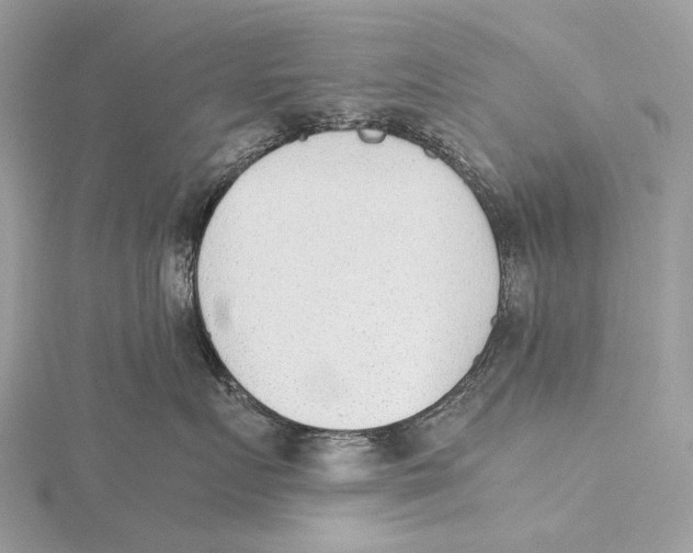 X0000115780719200912041451