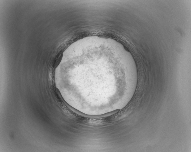 X0000115780720200912041451