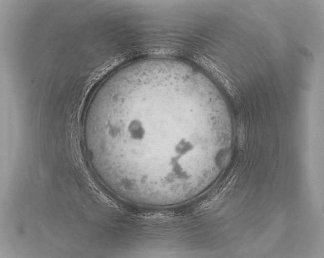 X0000115780721200912041451