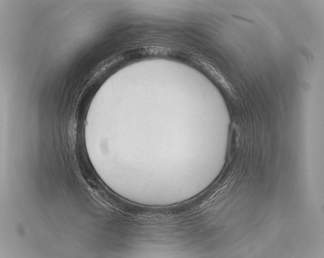 X0000115780722200912041451