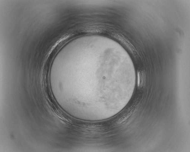 X0000115780723200912041451