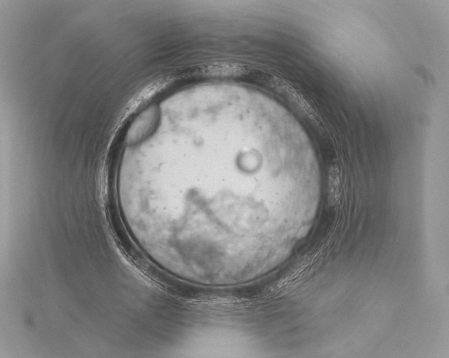 X0000115780726200912041451