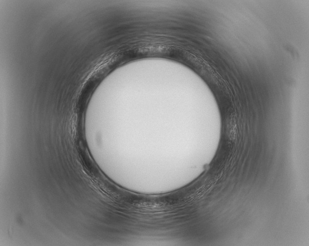 X0000115780735200912041451