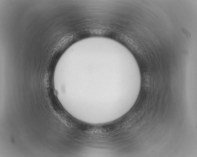 X0000115780738200912041451