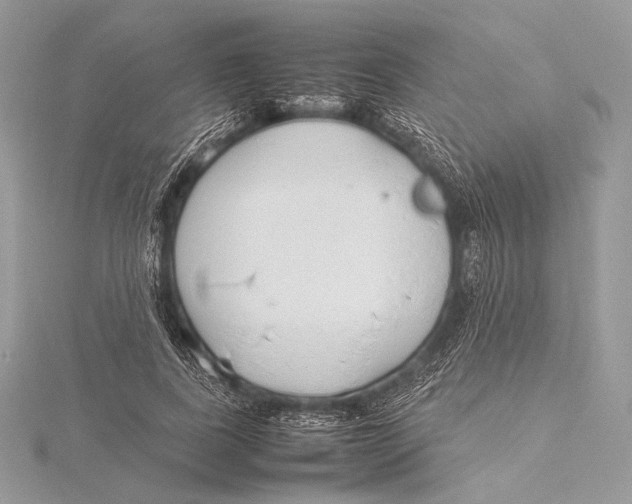 X0000115780739200912041451