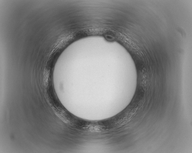 X0000115780742200912041451