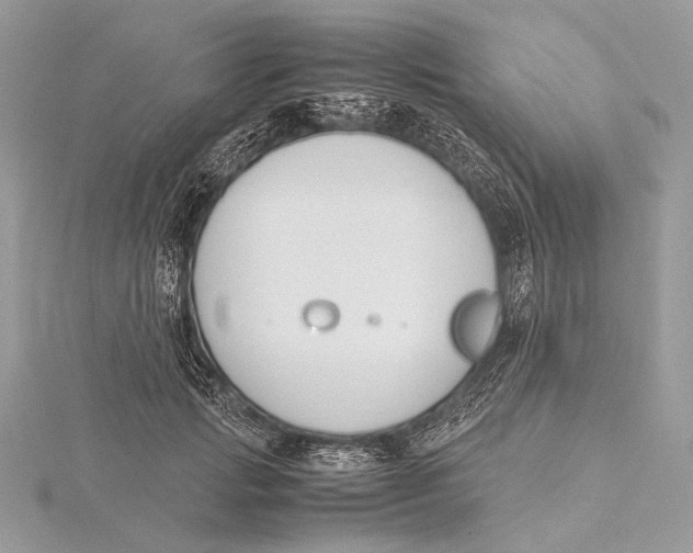 X0000115780749200912041451