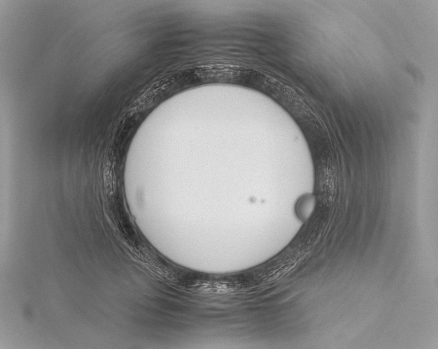 X0000115780751200912041451