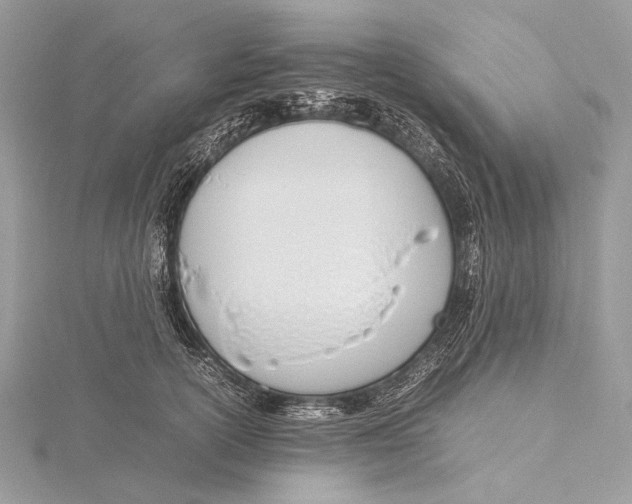 X0000115780754200912041451