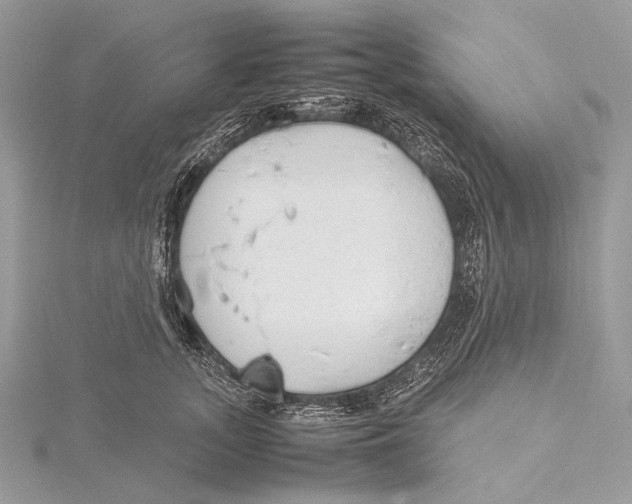 X0000115780755200912041451