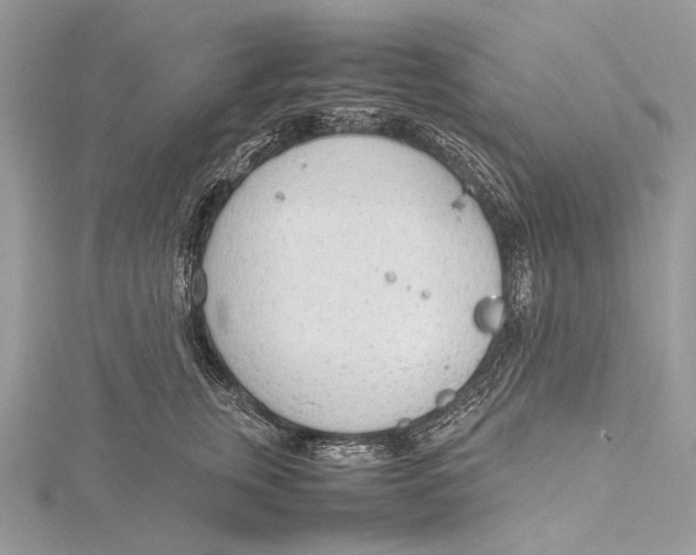 X0000115780759200912041451