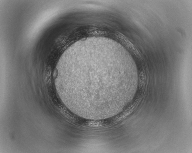 X0000115780762200912041451