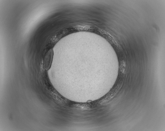 X0000115780763200912041451