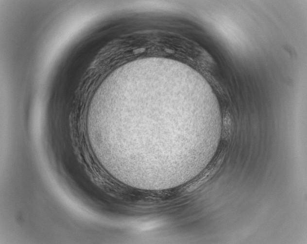 X0000115780765200912041451