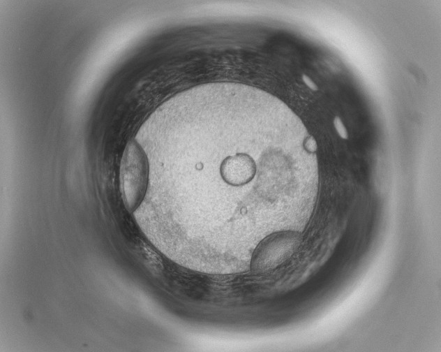 X0000115780766200912041451