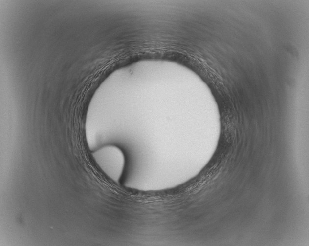 X0000115780769200912041451