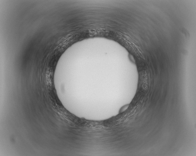 X0000115780770200912041451