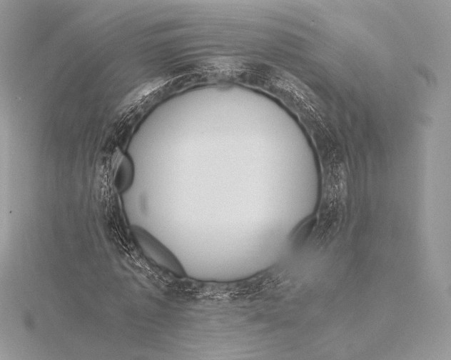 X0000115780773200912041451