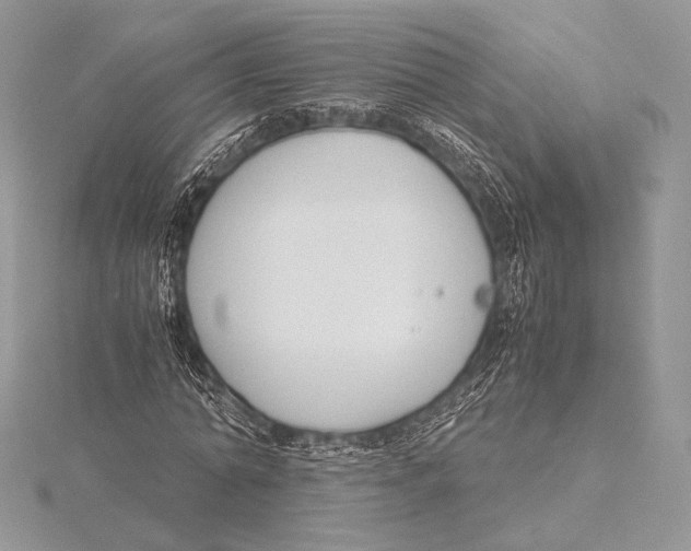 X0000115780774200912041451