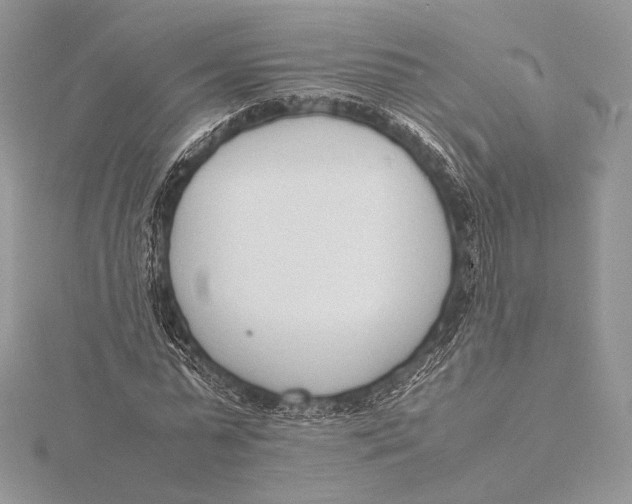 X0000115780775200912041451