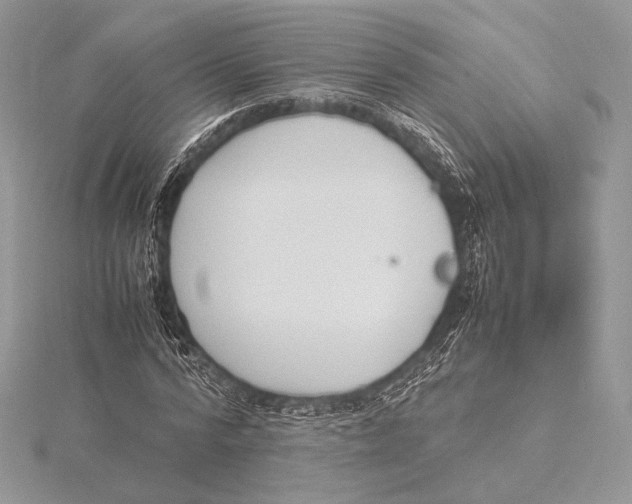 X0000115780776200912041450