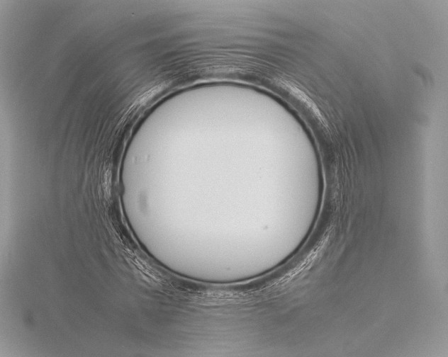 X0000115780777200912041450